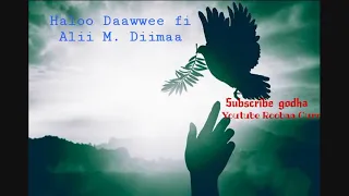 Sirba Halloo Daawwee Fi Alii M Diimaa Kan Durii Bahaliyakemedia8460 Subscribe 