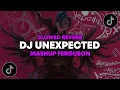 Lagu DJ Unexpected Mashup Ferguson ( Slowed \u0026 Reverb ) 🎧
