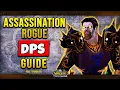 WOTLK CLASSIC Assassination Rogue PvE Guide Talents Rotation Pre-Bis DPS Tricks More