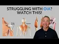 Muscle Origin Insertion Action Study Tips Muscular System