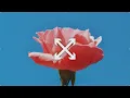 Triomphe - I Told You