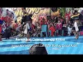 Download Lagu Rampokan Celeng Srenggi - Jaranan New Wijoyo putro Live Baran Blimbing Tarokan Kediri