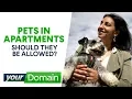 Should pets be allowed in apartments Your Domain