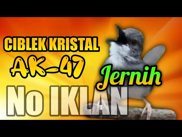 Download MP3 Masteran Ciblek Kristal AK 47 (suara jernih)