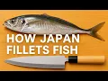How to Fillet Horse Mackerel Aji Japanese Knife Skills