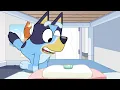 Relaxar | NOVA SÉRIE 3 | Bluey Português Brasil Canal Oficial