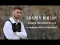 Lagu Cosmin Birlan  - Plange Mehedintiul tot  ( In memoriam Petrica Mîtu Stoian )
