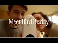 Meet Bird Buddy The Original Smart Bird Feeder