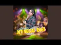 Download Lagu Ditinggal Rabi