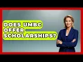 Does UMBC Offer Scholarships The College Explorer