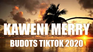 Download KAWENI MERRY  BUDOTS MIX TIKTOK 2020 DJ JHANZKIE THAI BREAK DROP MP3