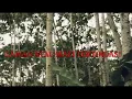 Download Lagu lada lede