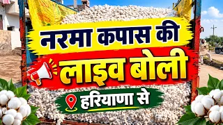 नरमा कपास की लाइव बोली हरियाणा से | Mandi Price Today | Aaj Ka Taja Mandi Bhav