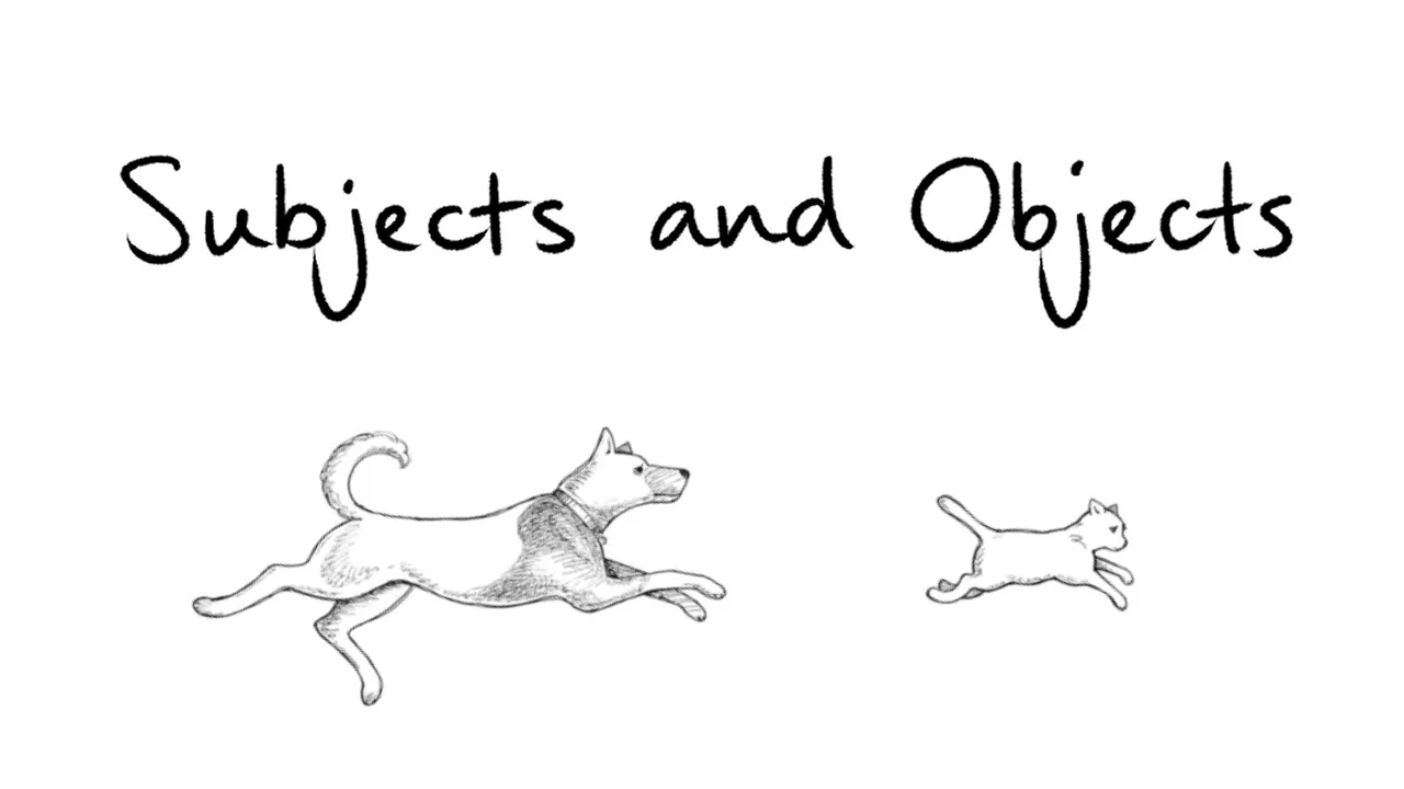 How Languages Encode Subjects and Objects: A Typological Overview