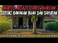 Download Lagu TAK SADAR MURID NGAJINYA ADA YANG DARI BUNIAN - cerita misteri - cerita mistis MP3