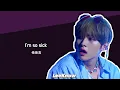 Download Lagu 【日本語字幕】SSICK (씩)/ Stray Kids(ストレイキッズ) 【日本語字幕/カナルビ/歌詞】