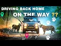 Download Lagu Silk Route Finale! Bengal Safari \u0026 Return Journey to Kolkata | Day 6 Vlog