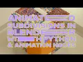 Animated Subdivisions in Blender with Python Animation Nodes Generative Art 3D Tutorial