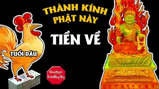 tu i d u m t i thu n l i nh c t t ng khi c v ph t n y ch che giang nguy n t vi phong th y