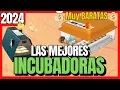 Las 7 mejores INCUBADORAS BARATAS de Amazon 2024 Mejor CALIDAD y PRECIO Pollos Huevos