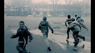Buffalo in the 1960 s