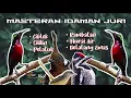 Download Lagu Masteran Konin Full Isian kesukaan JURI || LABIH PEDASSS !!!