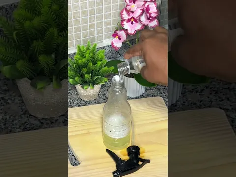 Adiós picazón canina con este spray