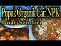 Lagu Cara membuat pupuk organik cair terbaik unsur NPK Untuk Cabe dan Melon