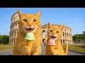Download Lagu Mama Cat Trims Fur on the Farm and Makes Tiger Hat For Kittens At Home🐾🎩🐯