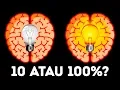 Download Lagu Apa Jadinya Jika Kamu Tahu Segala Hal di Dunia Ini