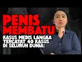 Download Lagu OSIFIKASI ORGAN INTIM PRIA❗️