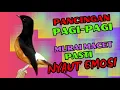 Download Lagu PANCINGAN PAGI-PAGI AGAR MURAI GACOR❗❗ MURAI MACET PASTI NYAUT EMOSI❗❗