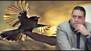 نهاية تتر مسلسل أرابيسك ويرفرف العمر الجميل الحنون 