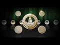 Pin Herbalife