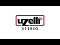 Bursalı mısın Kadifeli Gelin - Müzeyyen Senar (Müjdat Gezen'in Sunumuyla)