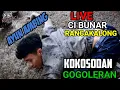 Download Lagu LIVE CIBUNAR - RANCAKALONG || AYUN AMBING - KOKOSODAN GOGOLERAN versi Tanji progresif