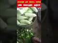 Bihar Railway Station | Cucumber