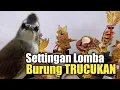 Download Lagu Cara Setting TRUCUKAN untuk Lomba