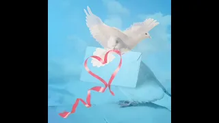 Летите Голуби Сергей Одинцов  Летите Голуби Сергей Одинцов