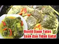 Download Lagu CARA MEMBUAT BUNTIL DAUN TALAS YANG ENAK DAN TIDAK GATAL