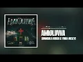 Sunmisola Agbebi x Yinka Okeleye - Amioluwa (Official Audio)