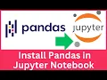 How to Install Pandas Using PIP in Jupyter Notebook