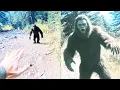 Download Lagu 'Bigfoot In This Area, DO NOT ENTER' - Terrifying BIGFOOT ENCOUNTER STORY