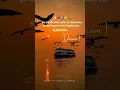 Download Lagu Aai baba Marathi whtsapp status#imotional#marathi #viral#status#ytshorts #marathi#motivatonalshorts