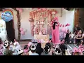 Download Lagu Badut Pelangi🌈 Bersamamu aku bahagia