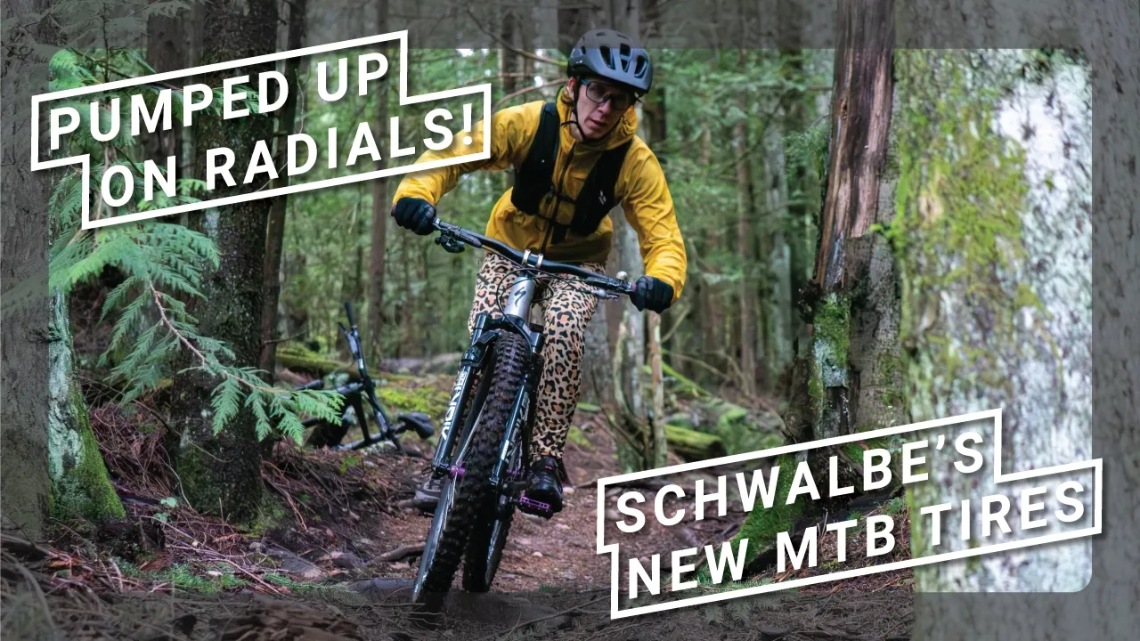 Schwalbe Shredda Rear 27.5