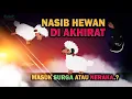 Download Lagu Nasib Hewan Di Akhirat, Masuk Surga atau Neraka..?