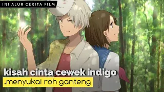 ketika anak indigo menyukai roh alur cerita film hotarubi no mori e