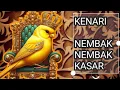 Download Lagu KENARI NEMBAK NEMBAK KASAR