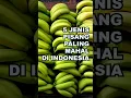 Download Lagu 5 Jenis Pisang Paling Mahal di Indonesia #ekoazis